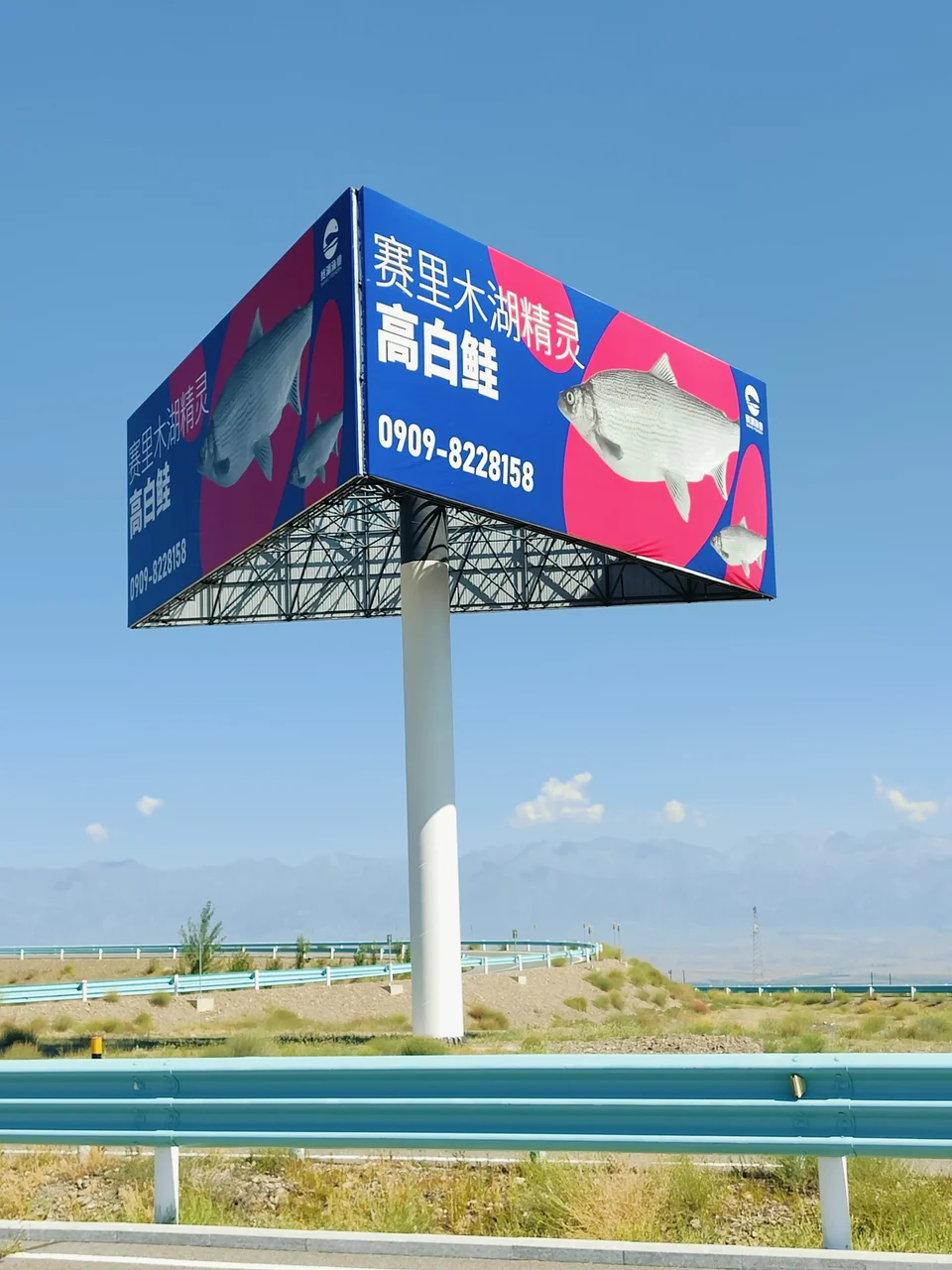 博乐塞湖渔业网架三面高炮：现场资料照片（第2张）