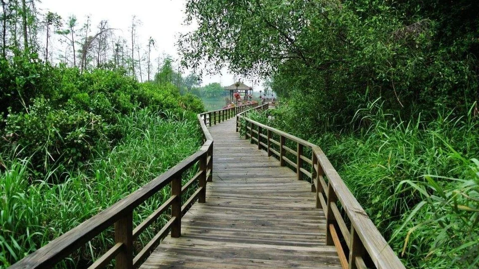 景观建筑实景照片